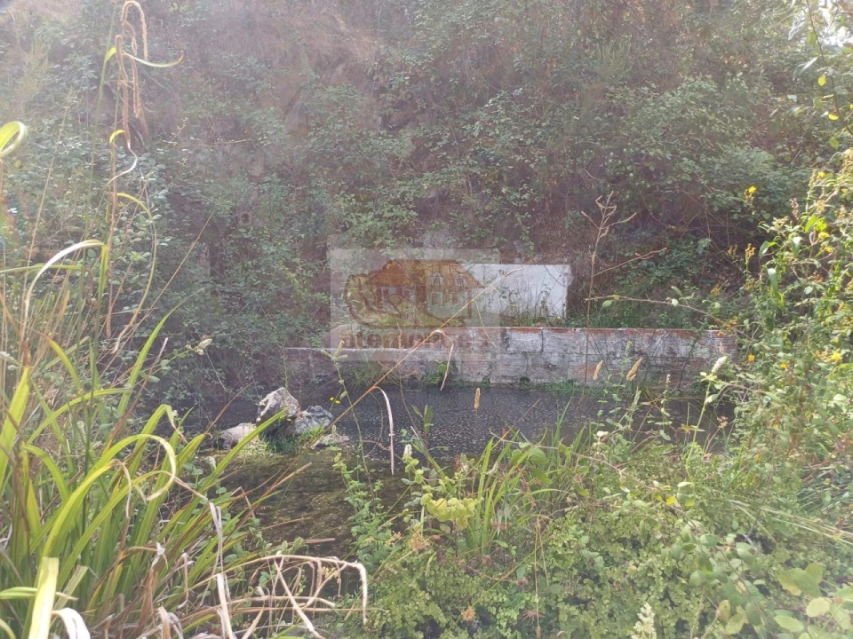 Quinta T4 para Venda em Grândola e Santa Margarida da Serra Foto 22