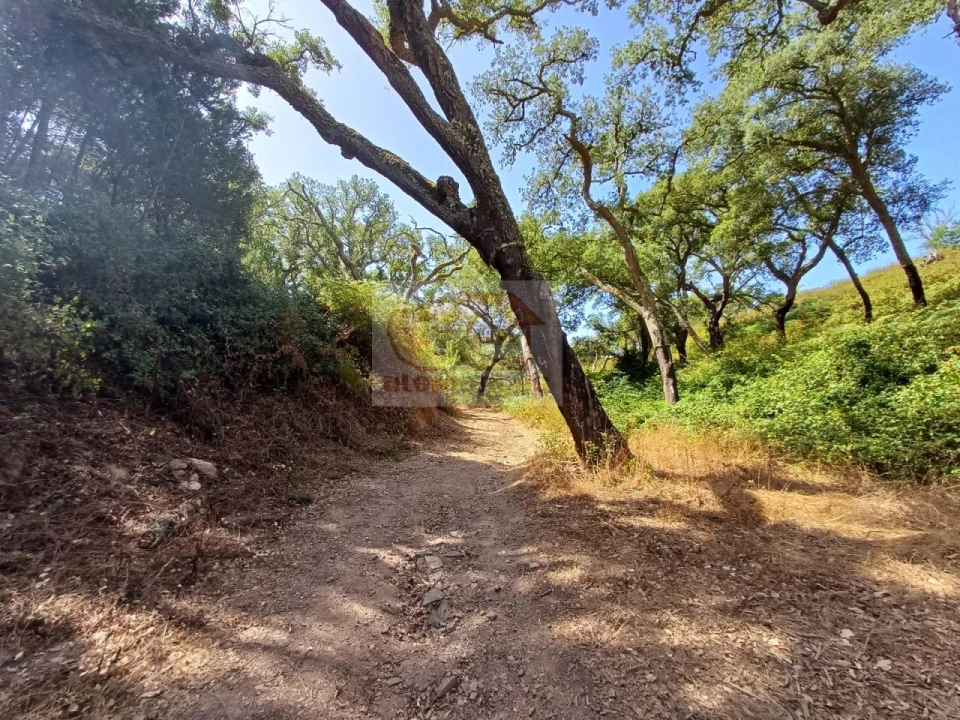 Quinta T4 para Venda em Grândola e Santa Margarida da Serra Foto 23