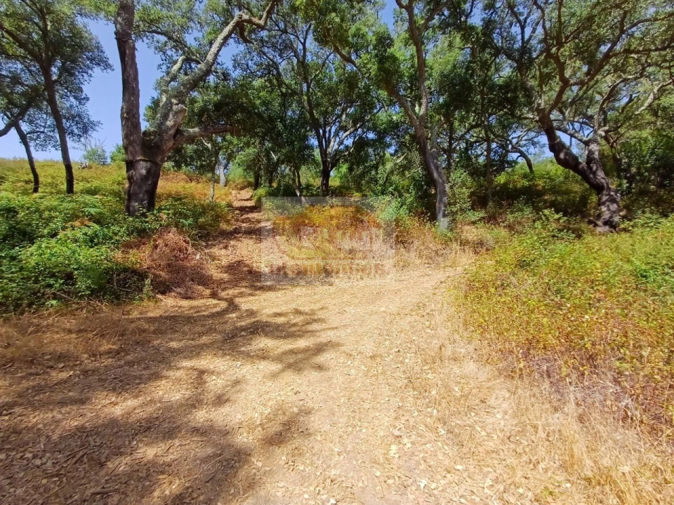 Quinta T4 para Venda em Grândola e Santa Margarida da Serra Foto 24
