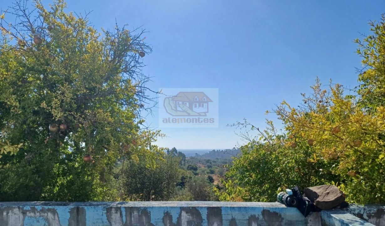 Quinta T4 para Venda em Grândola e Santa Margarida da Serra Foto 2