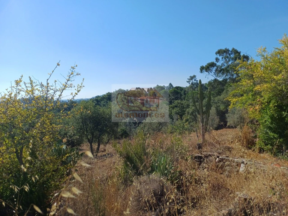 Quinta T4 para Venda em Grândola e Santa Margarida da Serra Foto 25