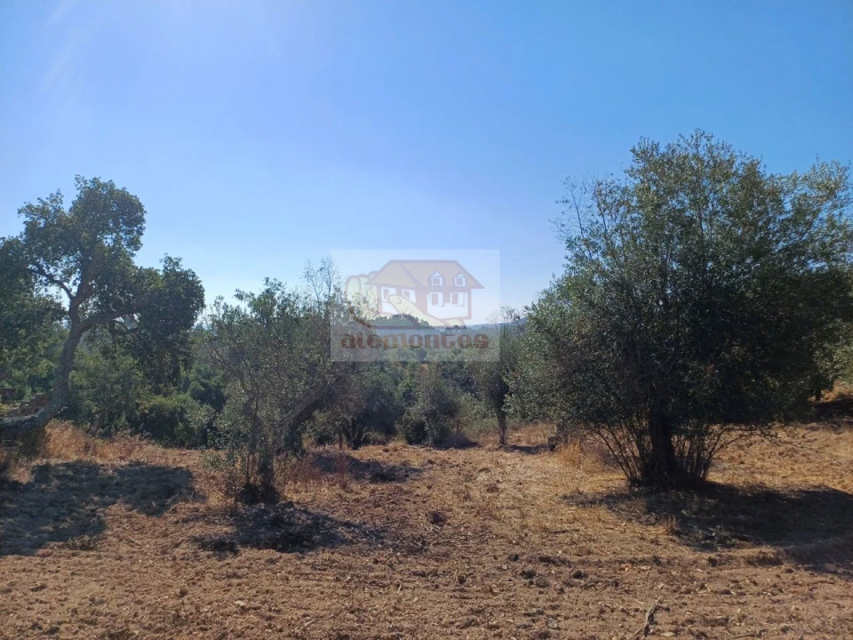 Quinta T4 para Venda em Grândola e Santa Margarida da Serra Foto 26