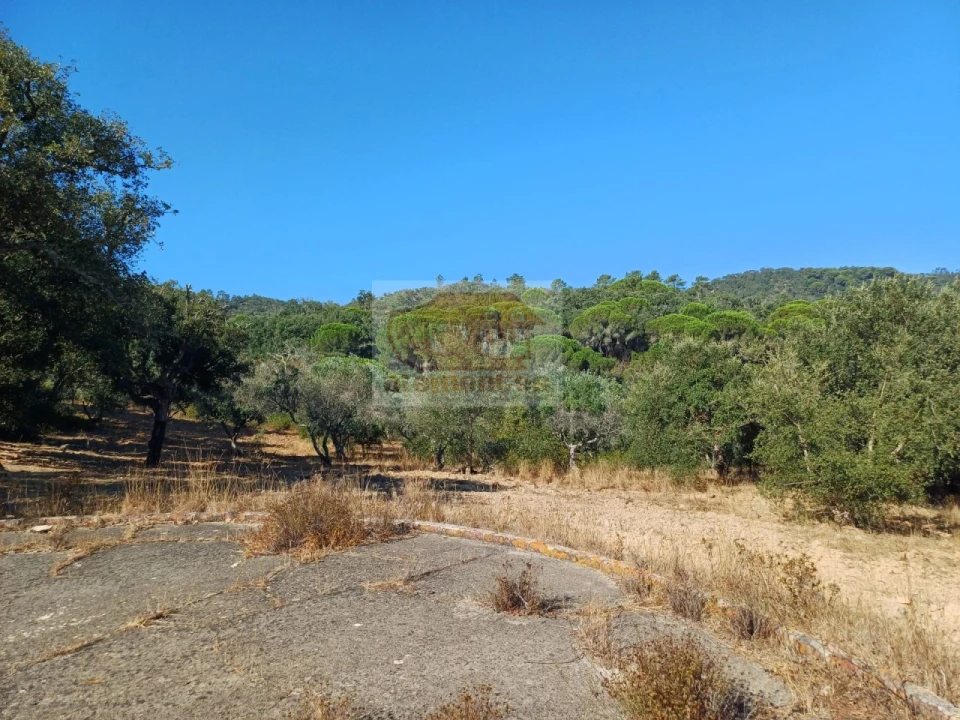 Quinta T4 para Venda em Grândola e Santa Margarida da Serra Foto 27