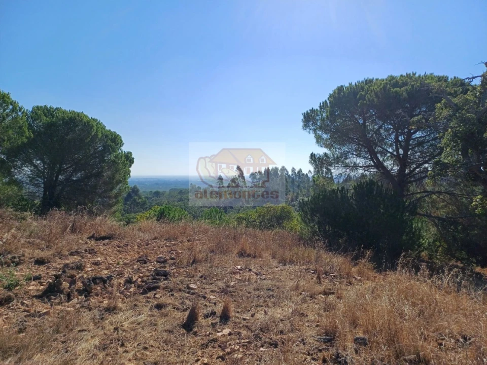 Quinta T4 para Venda em Grândola e Santa Margarida da Serra Foto 28