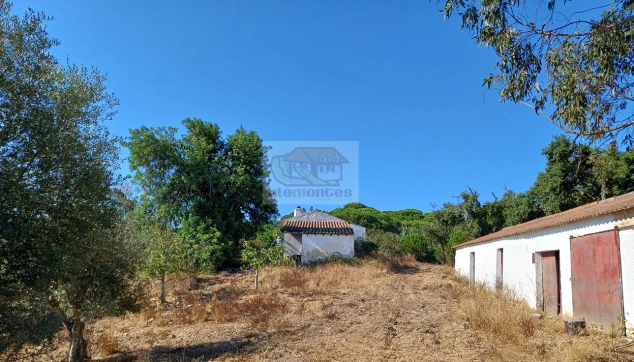 Quinta T4 para Venda em Grândola e Santa Margarida da Serra Foto 29