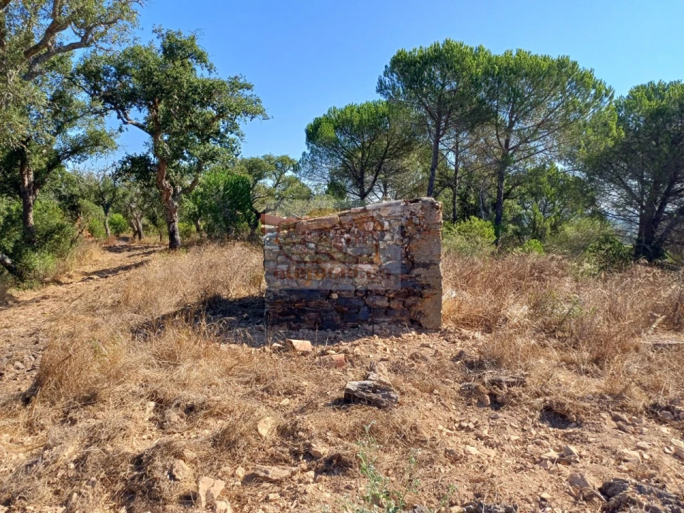 Quinta T4 para Venda em Grândola e Santa Margarida da Serra Foto 30