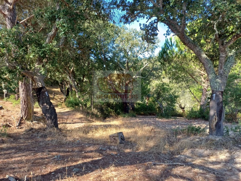 Quinta T4 para Venda em Grândola e Santa Margarida da Serra Foto 31