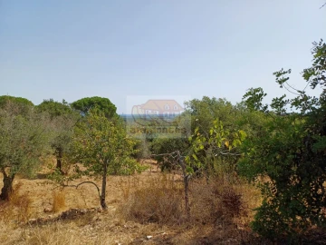 Quinta T4 para Venda em Grândola e Santa Margarida da Serra