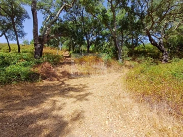 Quinta T4 para Venda em Grândola e Santa Margarida da Serra