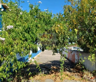 Quinta T4 para Venda em Grândola e Santa Margarida da Serra