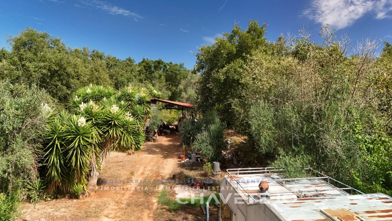Terreno Agricola ou Rústico para Venda em Pussos São Pedro Foto 4