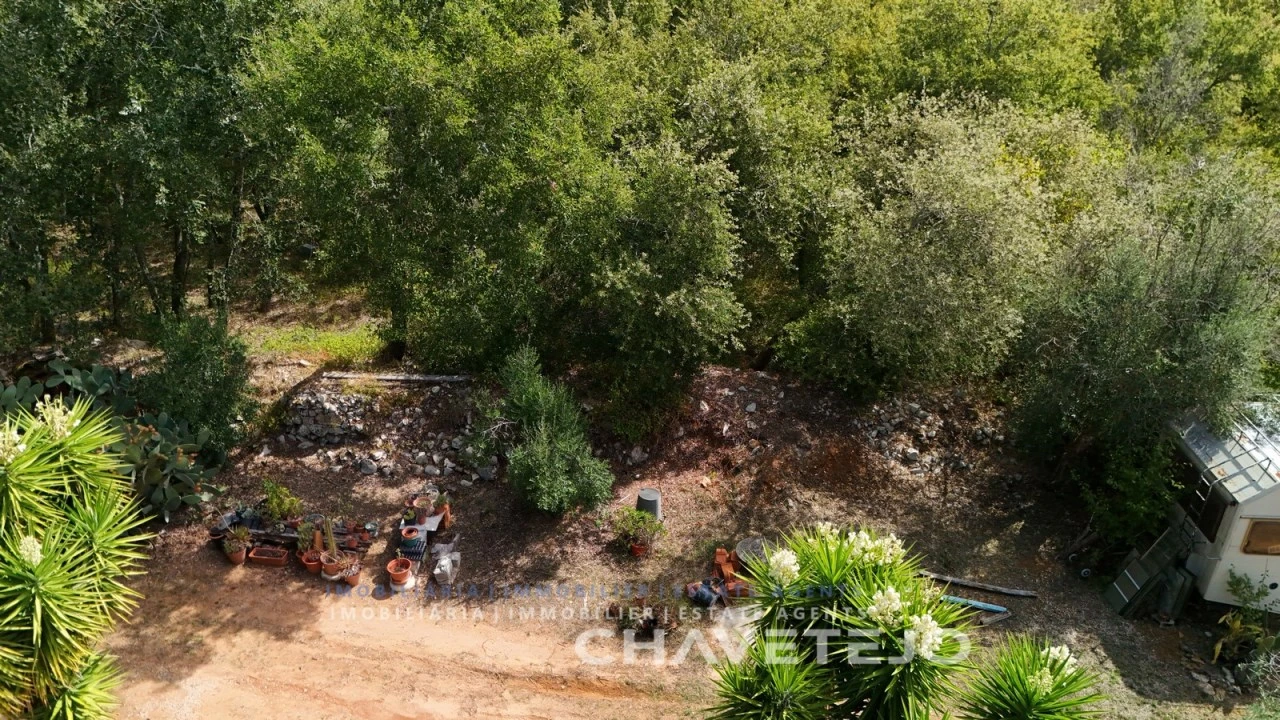 Terreno Agricola ou Rústico para Venda em Pussos São Pedro Foto 11