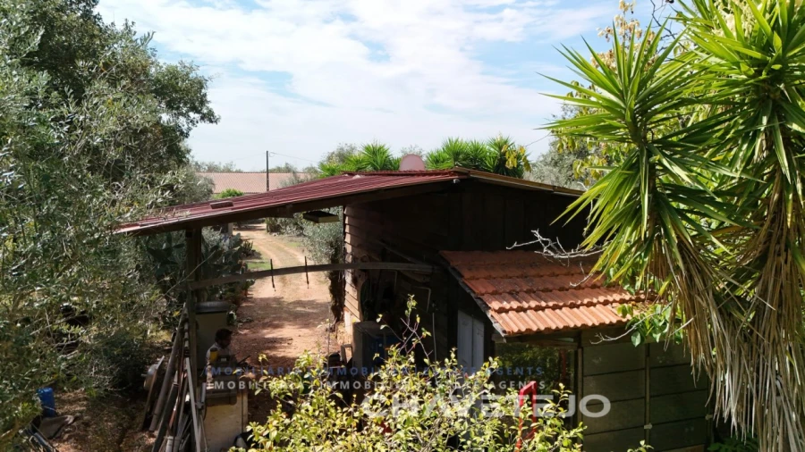 Terreno Agricola ou Rústico para Venda em Pussos São Pedro Foto 7