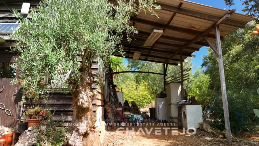 Terreno Agricola ou Rústico para Venda em Pussos São Pedro Foto 18