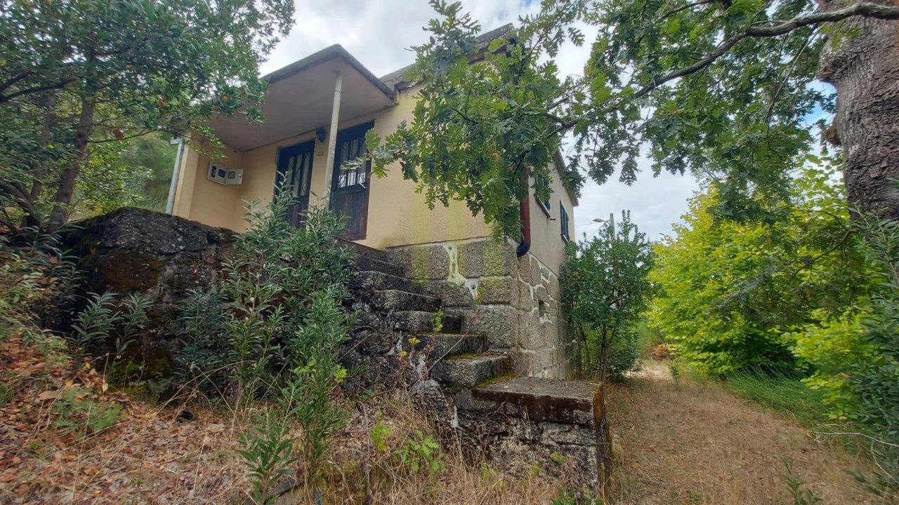 Quinta para Venda em Nogueira do Cravo Foto 1