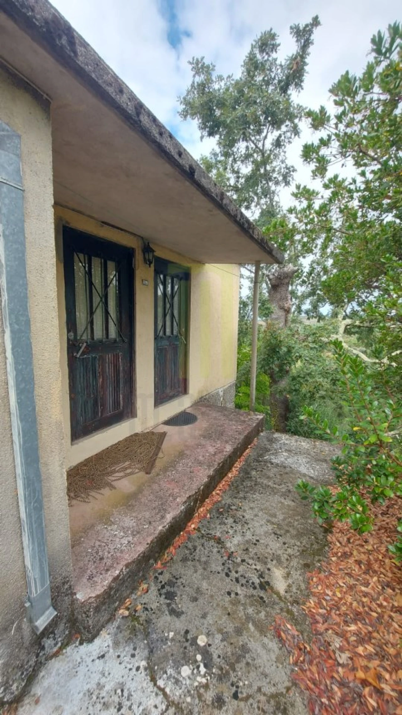 Quinta para Venda em Nogueira do Cravo Foto 4