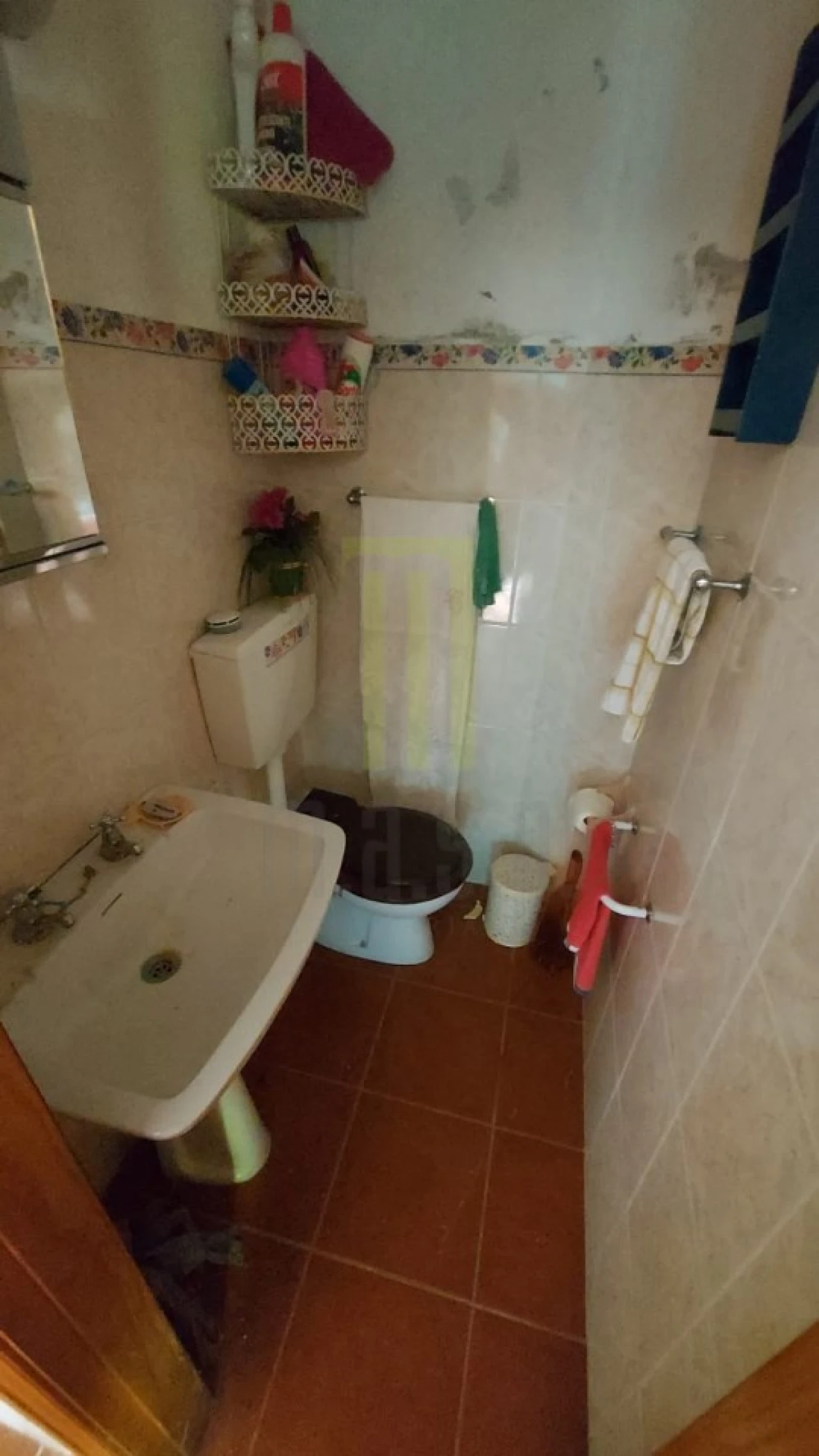 Quinta para Venda em Nogueira do Cravo Foto 9