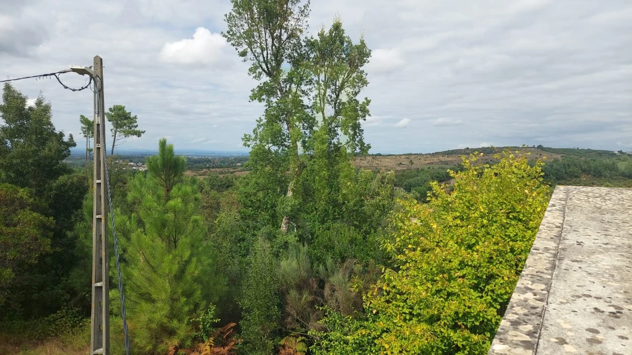 Quinta para Venda em Nogueira do Cravo Foto 16