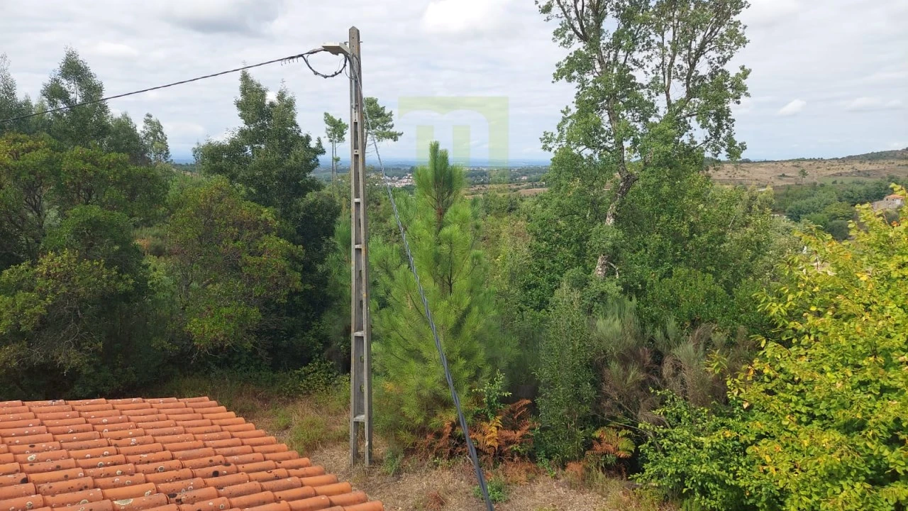 Quinta para Venda em Nogueira do Cravo Foto 17