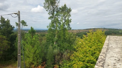 Quinta para Venda em Nogueira do Cravo