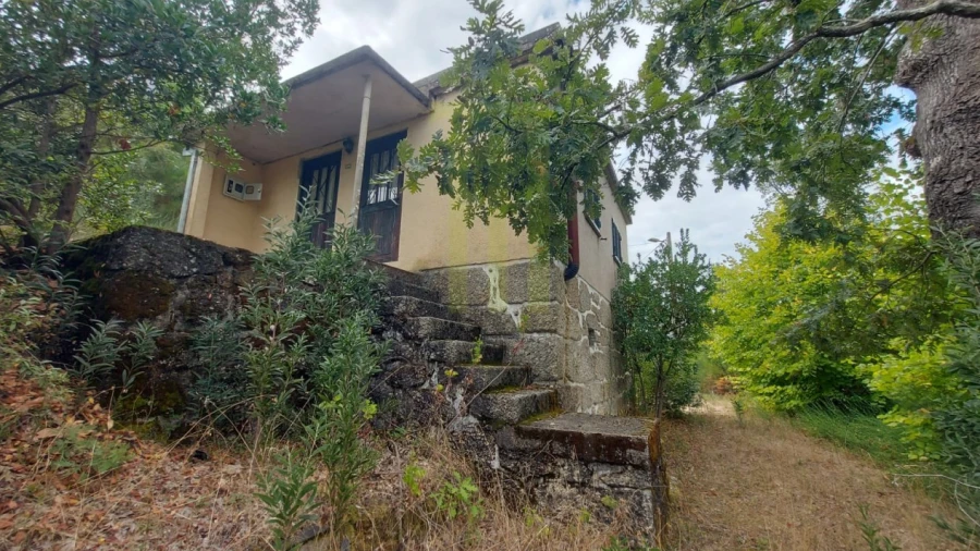 Quinta para Venda em Nogueira do Cravo