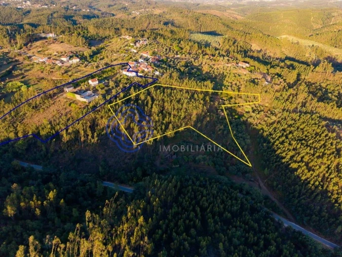 Quinta T3 para Venda em Casais e Alviobeira Foto 41