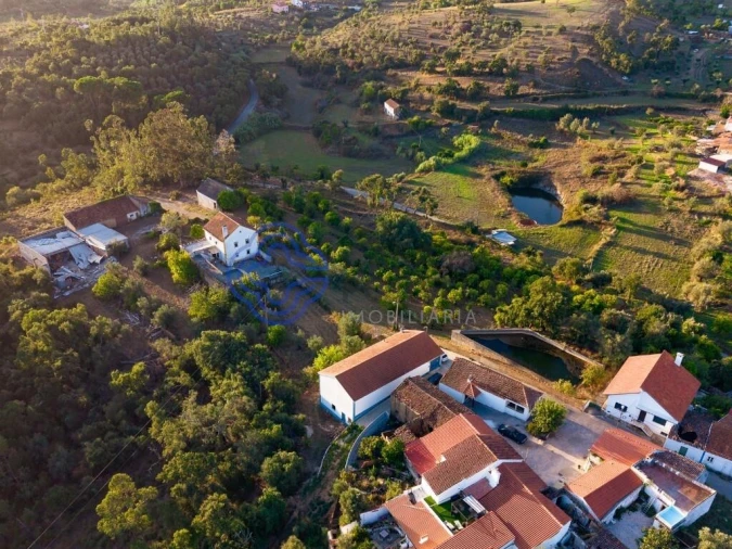 Quinta T3 para Venda em Casais e Alviobeira Foto 52