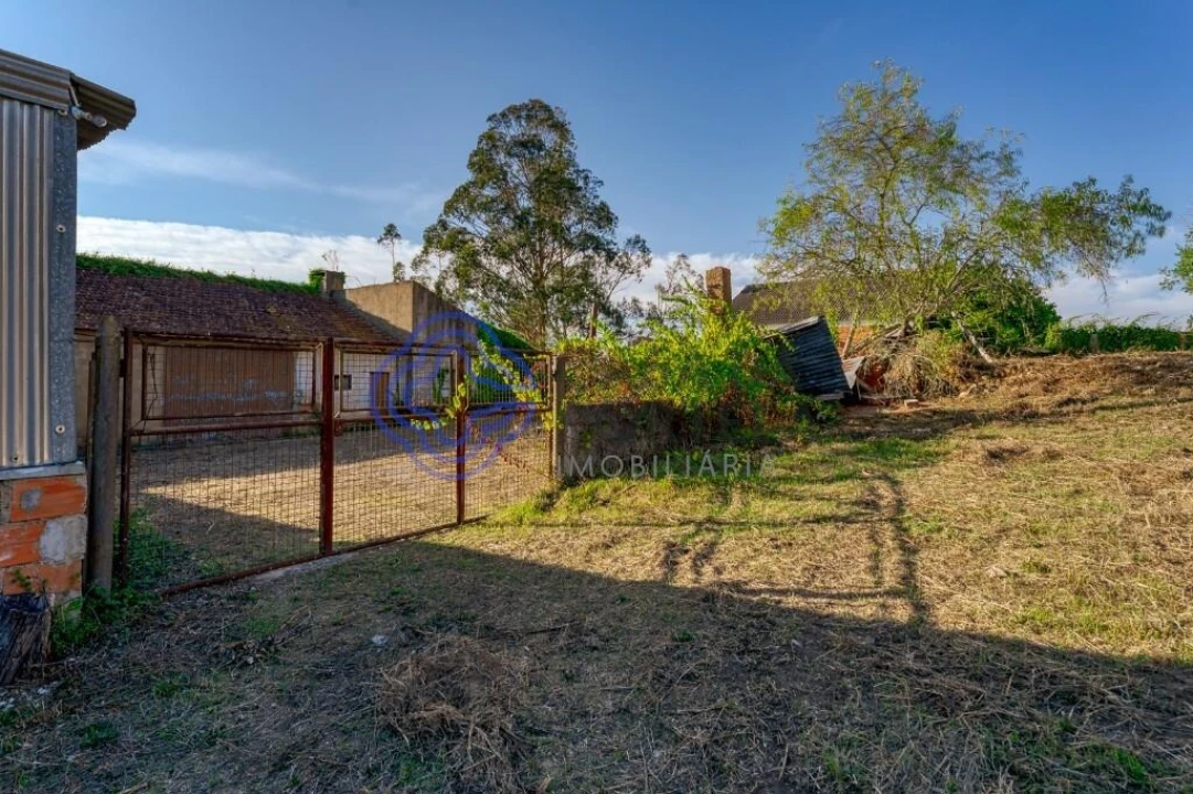 Quinta T3 para Venda em Casais e Alviobeira Foto 9