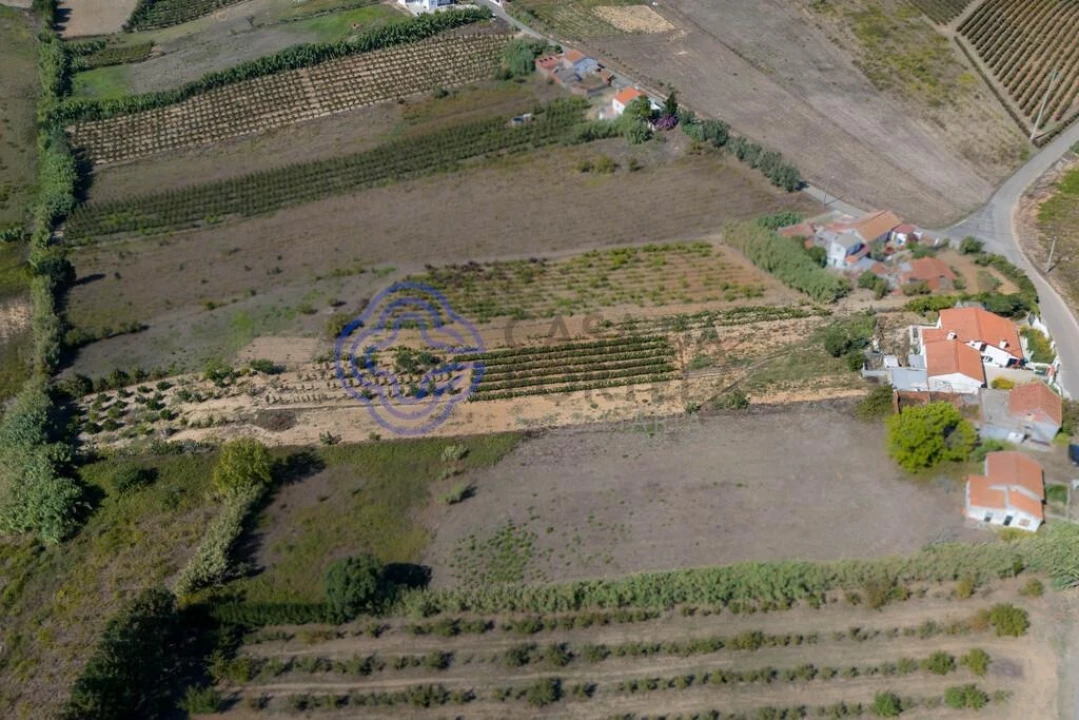 Moradia T2 para Venda em Carvalhal Foto 22