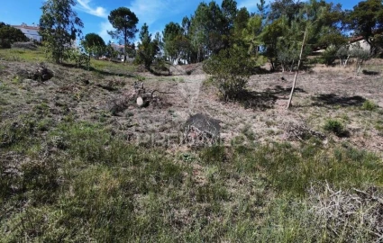 Terreno para Venda em Batalha