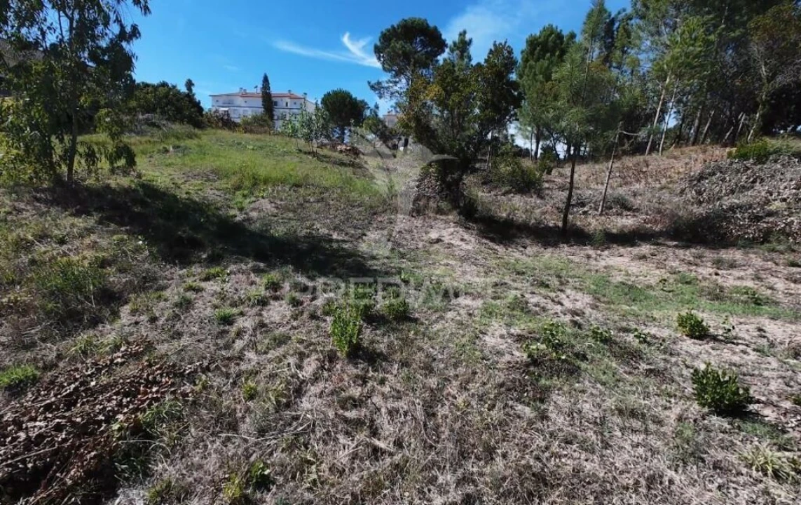 Terreno para Venda em Batalha Foto 4