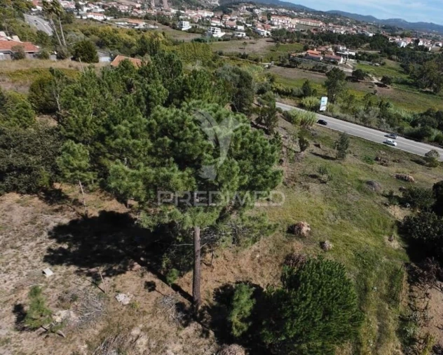 Terreno para Venda em Batalha Foto 7