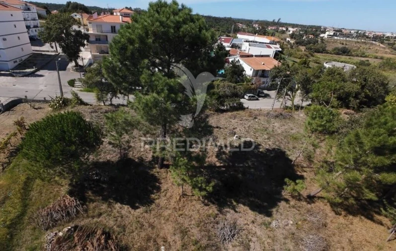 Terreno para Venda em Batalha Foto 6