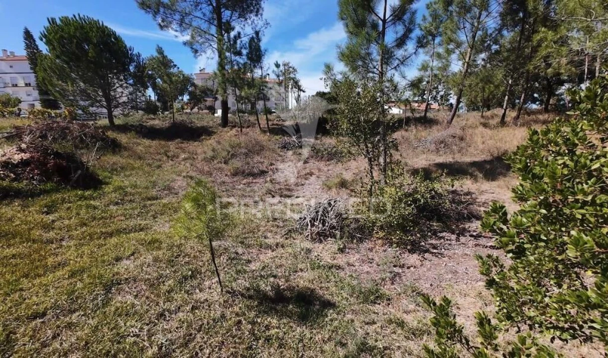Terreno para Venda em Batalha Foto 5