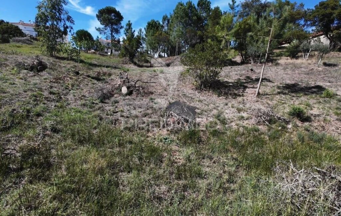 Terreno para Venda em Batalha Foto 3