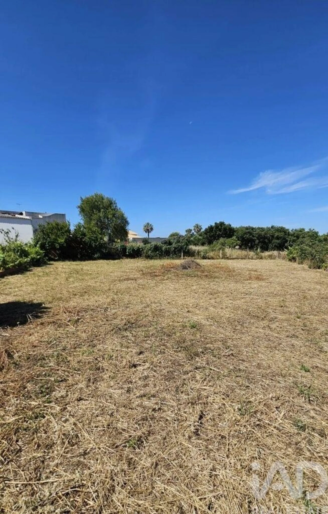Terreno para Venda em Almancil Foto 5