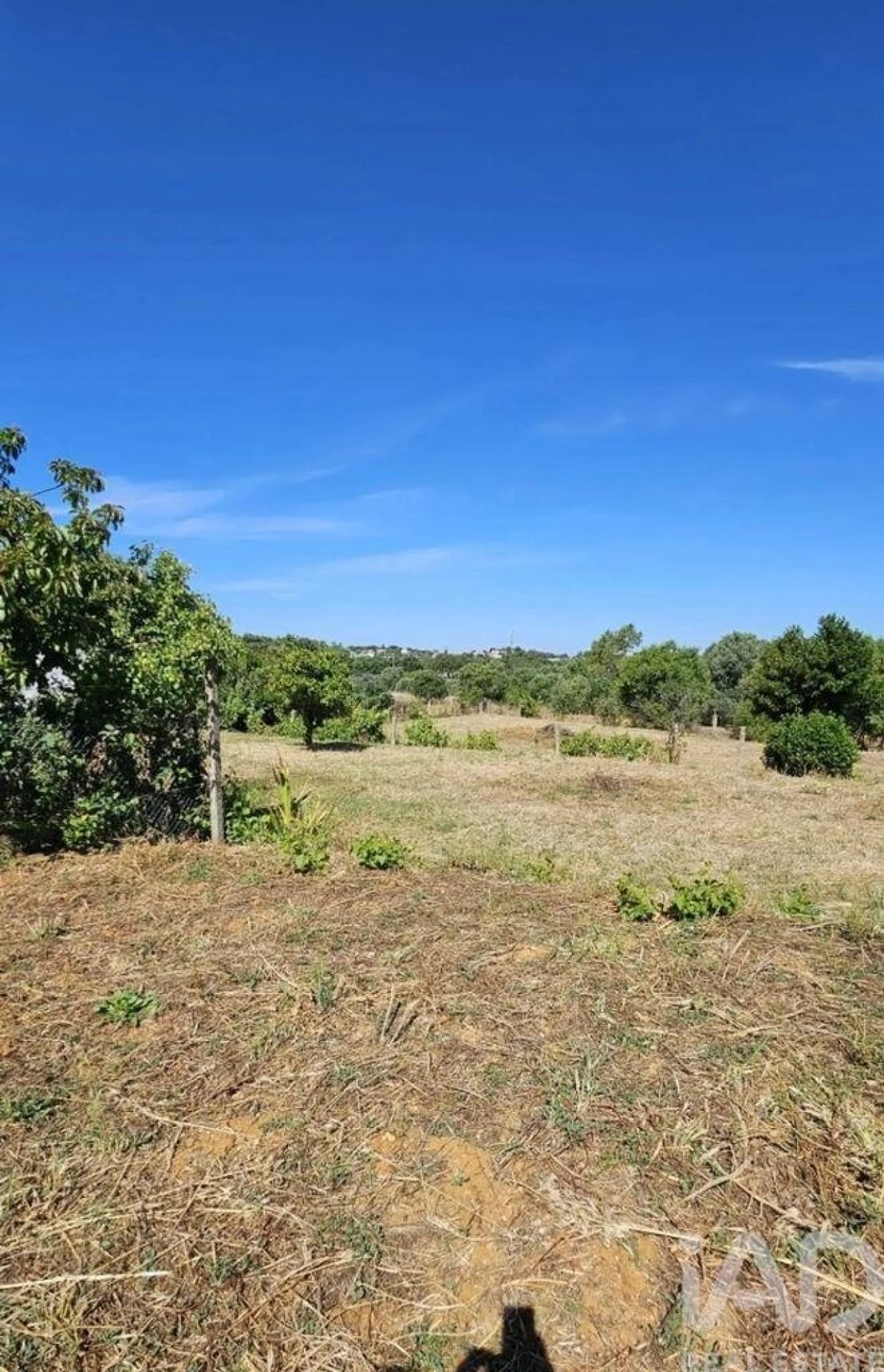 Terreno para Venda em Almancil Foto 7