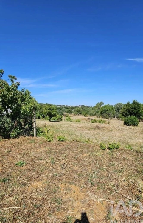 Terreno para Venda em Almancil