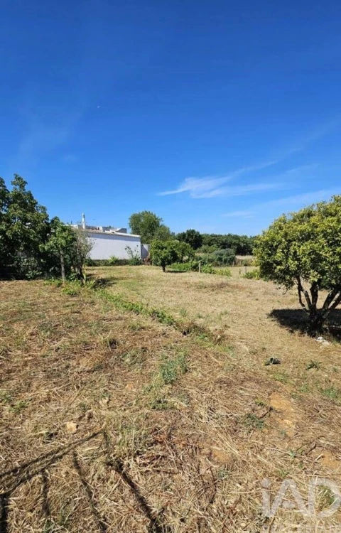 Terreno para Venda em Almancil