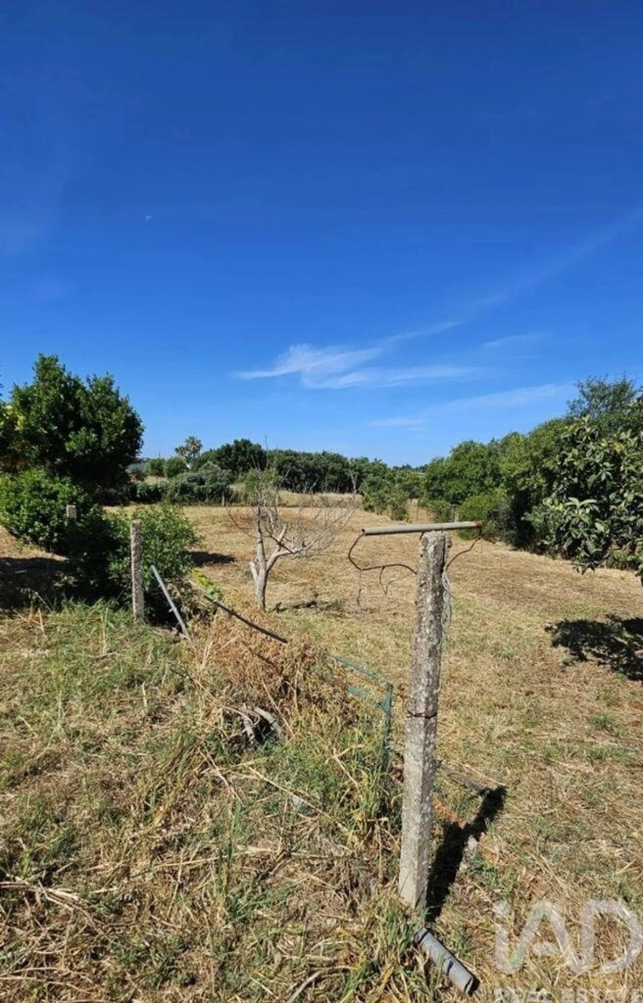 Terreno para Venda em Almancil Foto 6