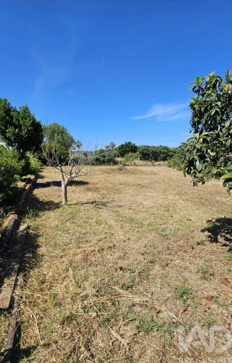 Terreno para Venda em Almancil Foto 4