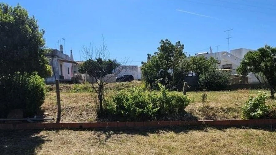 Terreno para Venda em Almancil