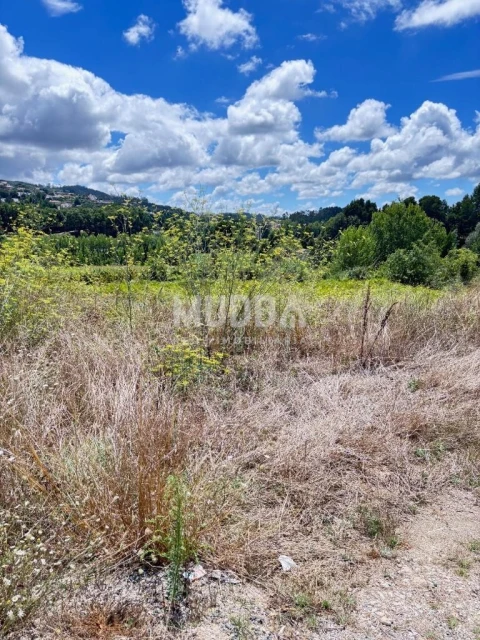 Terreno para Venda em O. Azeméis, Riba-Ul, Ul, Macinhata Seixa, Madail
