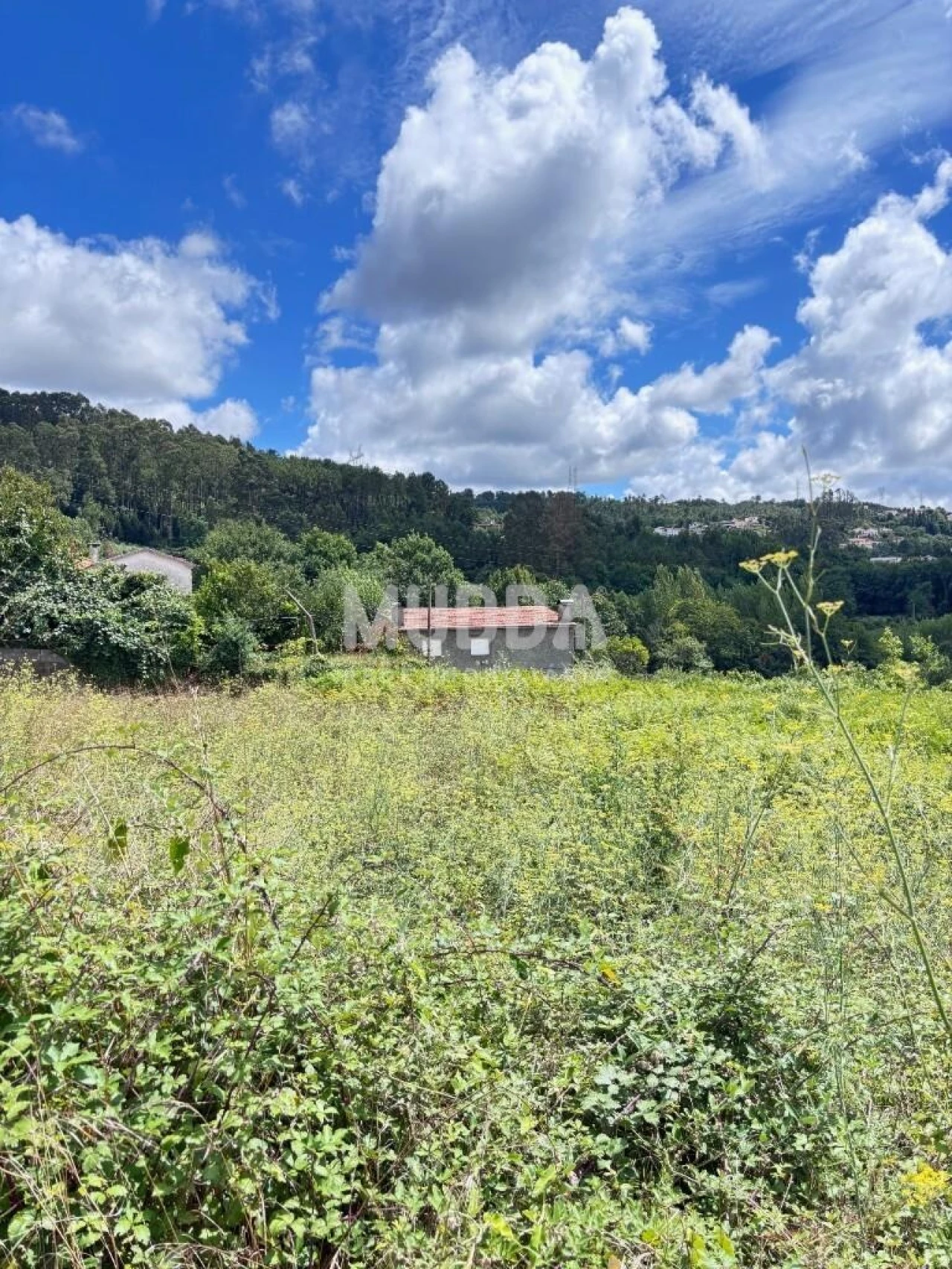 Terreno para Venda em O. Azeméis, Riba-Ul, Ul, Macinhata Seixa, Madail Foto 6