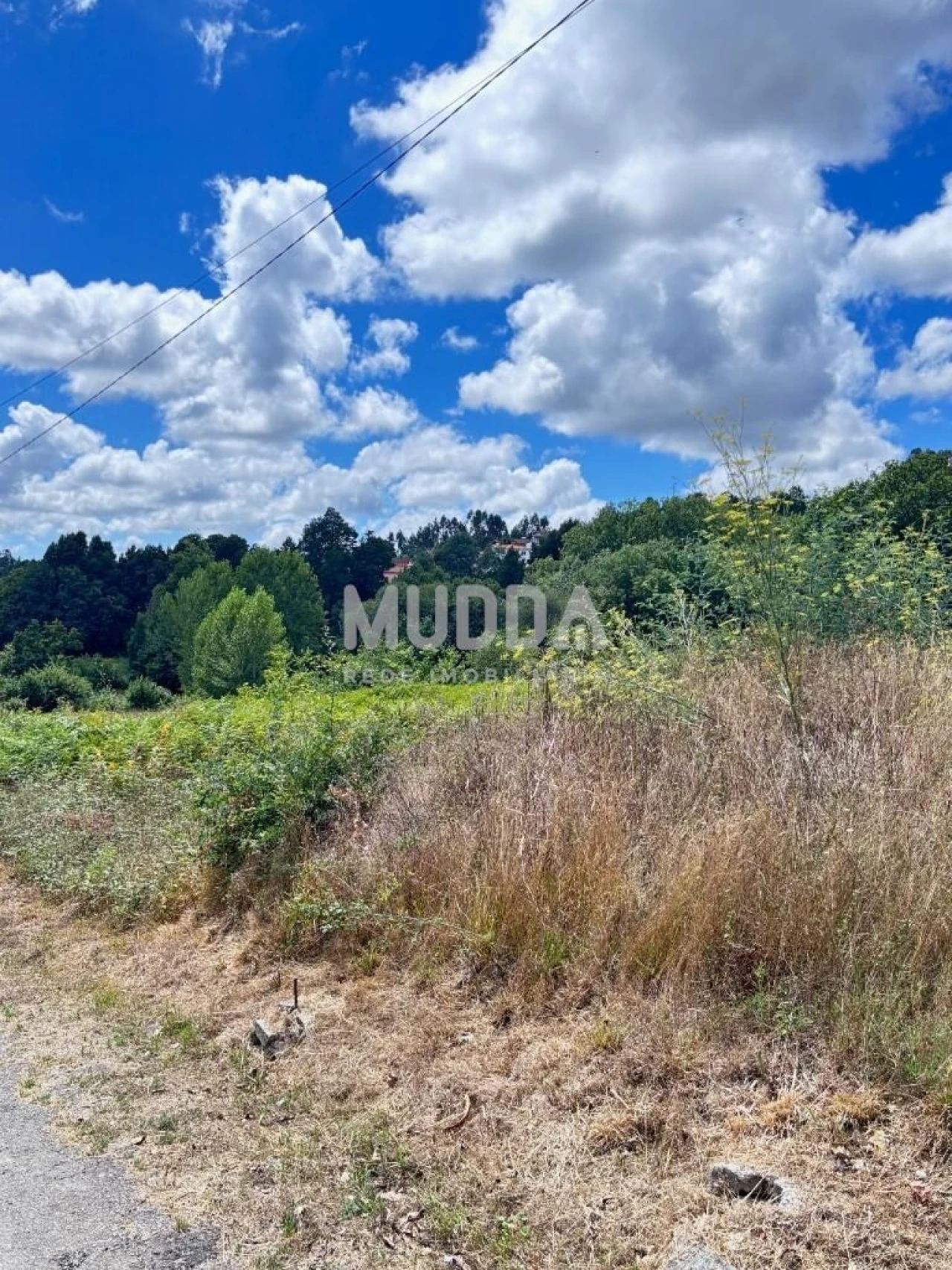Terreno para Venda em O. Azeméis, Riba-Ul, Ul, Macinhata Seixa, Madail Foto 13
