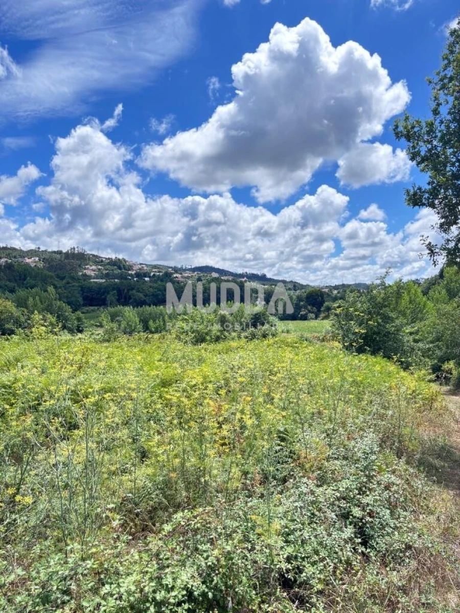 Terreno para Venda em O. Azeméis, Riba-Ul, Ul, Macinhata Seixa, Madail Foto 12