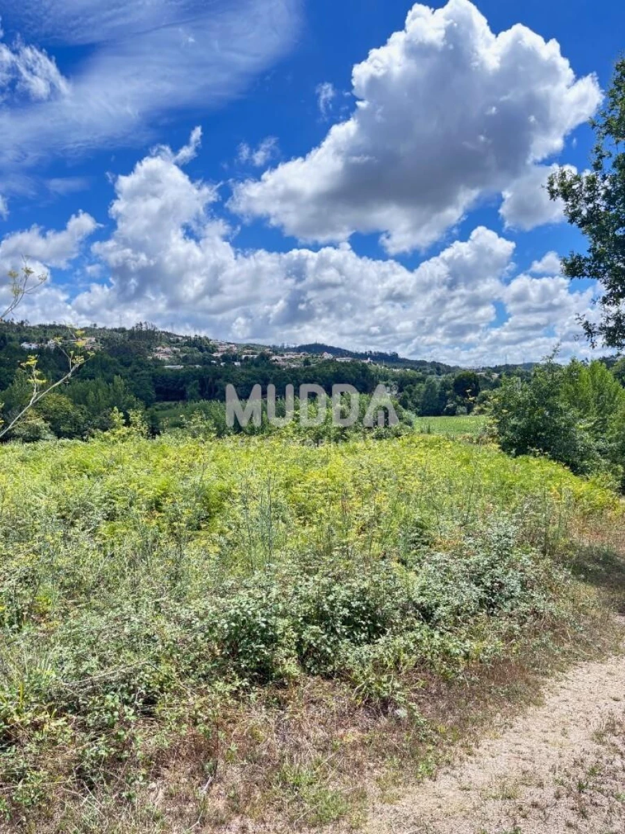 Terreno para Venda em O. Azeméis, Riba-Ul, Ul, Macinhata Seixa, Madail Foto 11