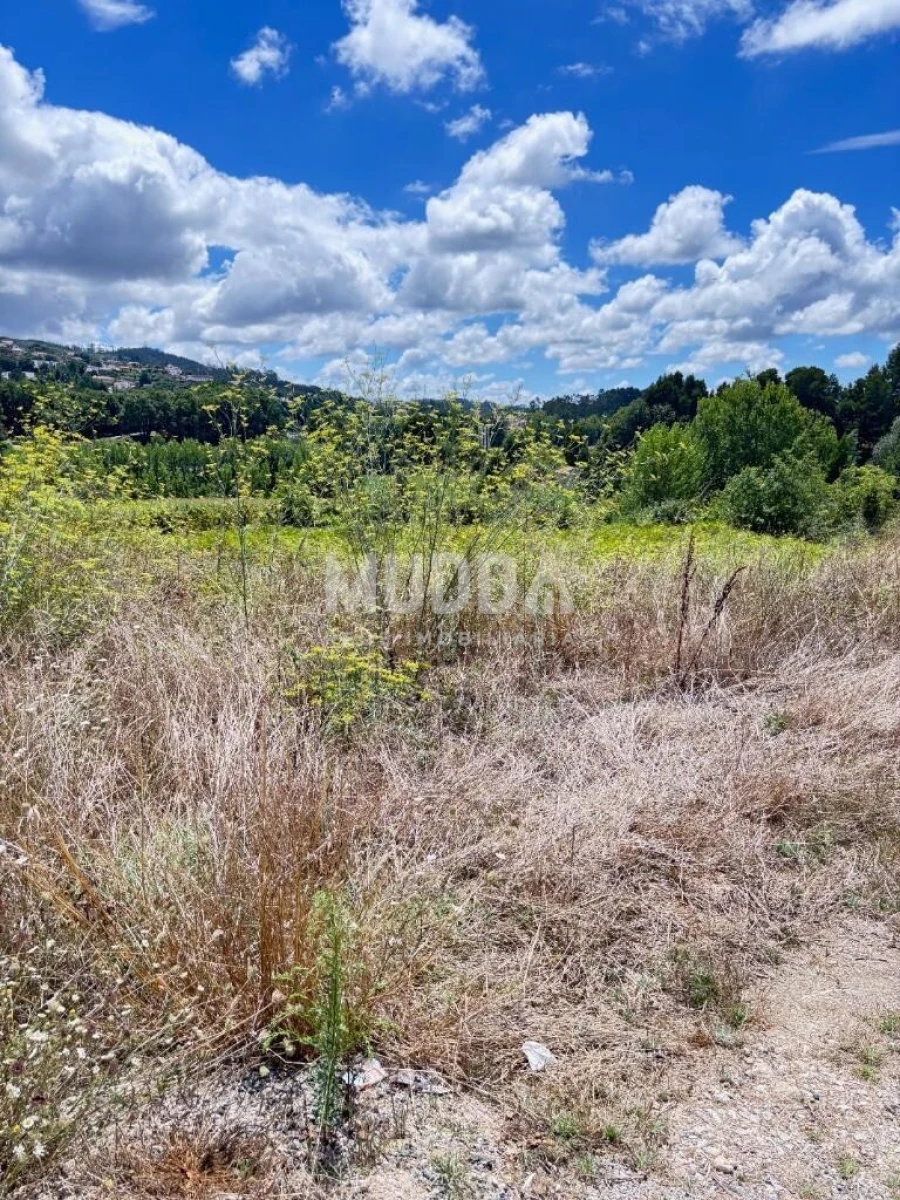 Terreno para Venda em O. Azeméis, Riba-Ul, Ul, Macinhata Seixa, Madail Foto 10