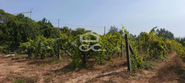 Quinta T4 para Venda em Caldas de Vizela (São Miguel e São João)