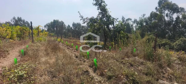 Quinta T4 para Venda em Caldas de Vizela (São Miguel e São João)